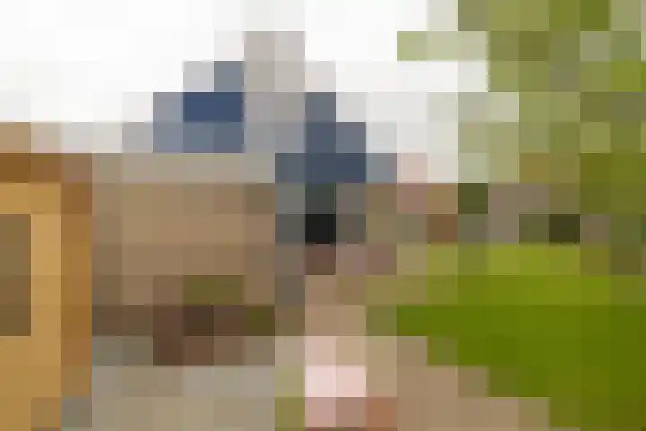 Tjalke de Boerstrjitte 1 Balk thumbnail 34