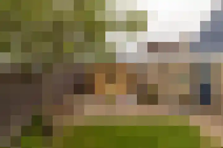 Tjalke de Boerstrjitte 1 Balk thumbnail 35