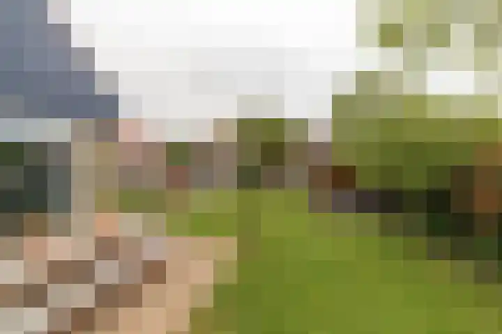 Tjalke de Boerstrjitte 1 Balk thumbnail 36