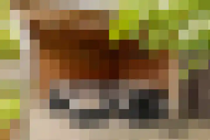Tjalke de Boerstrjitte 1 Balk thumbnail 38