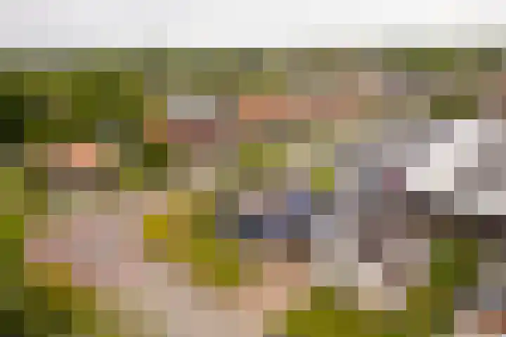 Tjalke de Boerstrjitte 1 Balk thumbnail 4