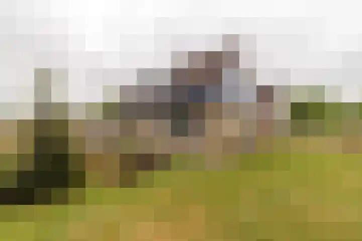 Tjalke de Boerstrjitte 1 Balk thumbnail 40
