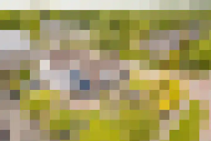 Tjalke de Boerstrjitte 1 Balk thumbnail 41