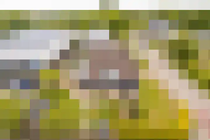 Tjalke de Boerstrjitte 1 Balk thumbnail 42
