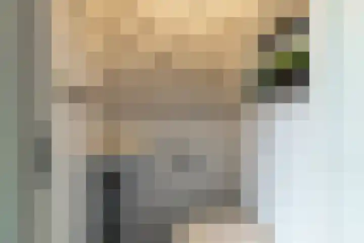 Tjalke de Boerstrjitte 1 Balk thumbnail 6