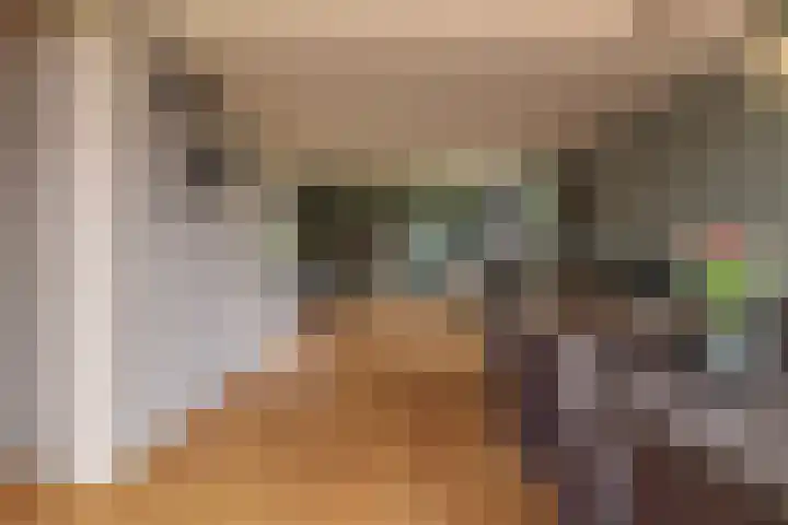 Tjalke de Boerstrjitte 1 Balk thumbnail 7
