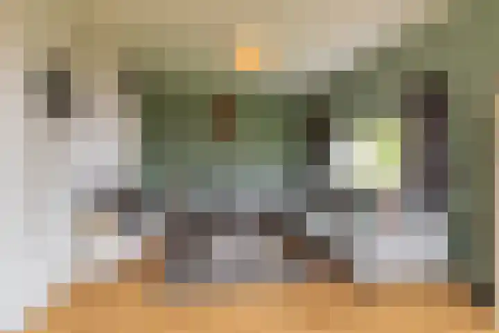 Tjalke de Boerstrjitte 1 Balk thumbnail 9