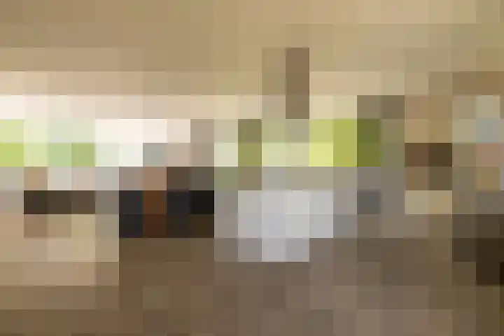 Tjalke de Boerstrjitte 18 Balk thumbnail 10