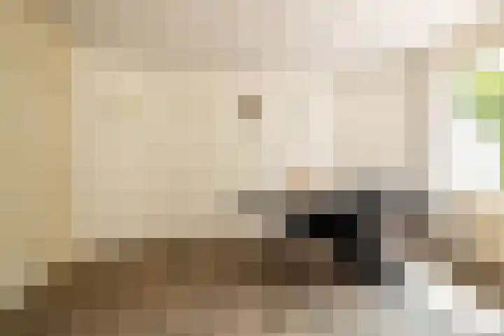 Tjalke de Boerstrjitte 18 Balk thumbnail 14