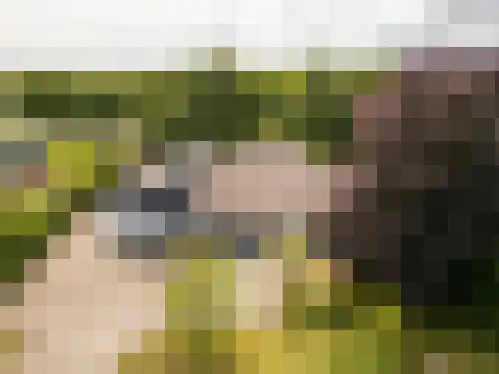 Tjalke de Boerstrjitte 18 Balk foto 2
