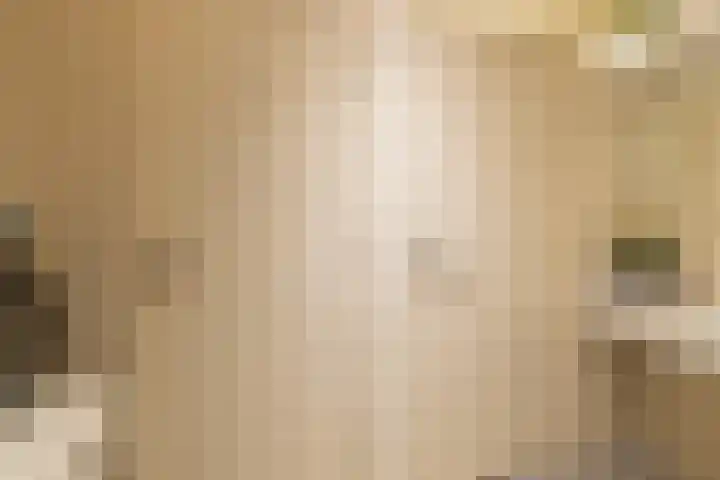 Tjalke de Boerstrjitte 18 Balk thumbnail 23