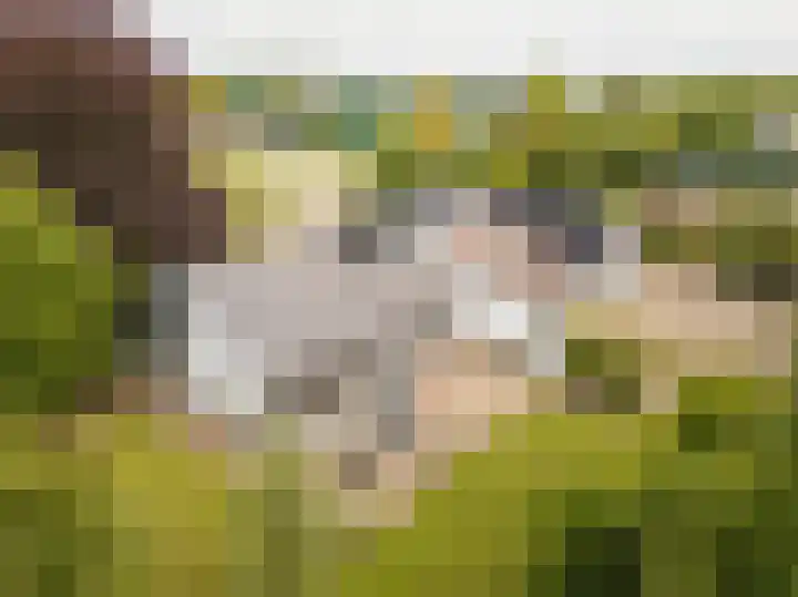 Tjalke de Boerstrjitte 18 Balk thumbnail 31