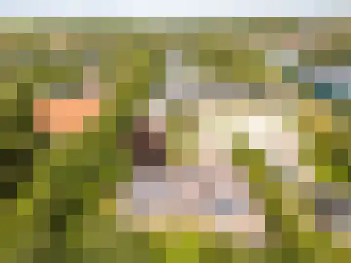 Tjalke de Boerstrjitte 18 Balk thumbnail 32