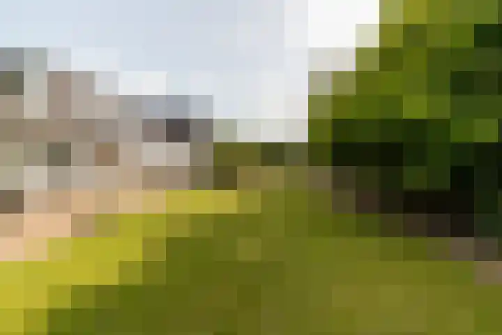 Tjalke de Boerstrjitte 18 Balk thumbnail 34