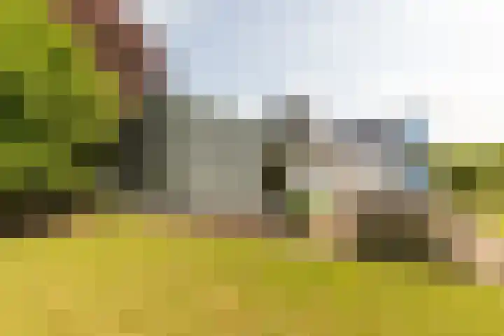 Tjalke de Boerstrjitte 18 Balk thumbnail 37