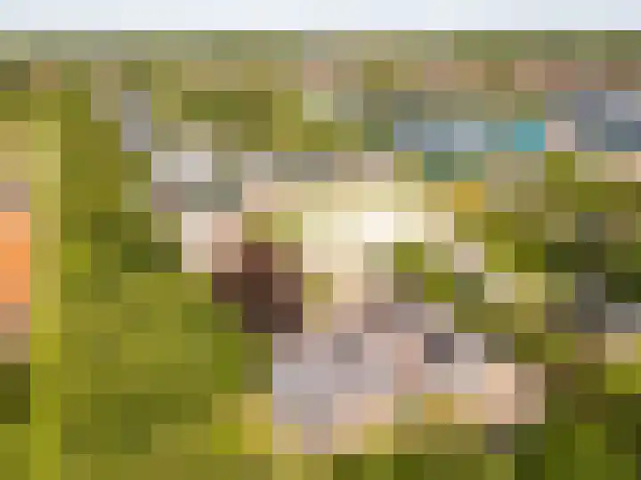 Tjalke de Boerstrjitte 18 Balk thumbnail 38