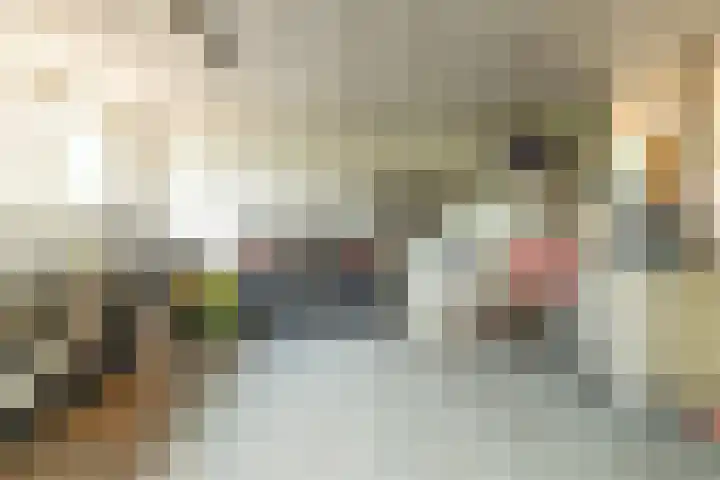 Tjalke de Boerstrjitte 18 Balk thumbnail 39