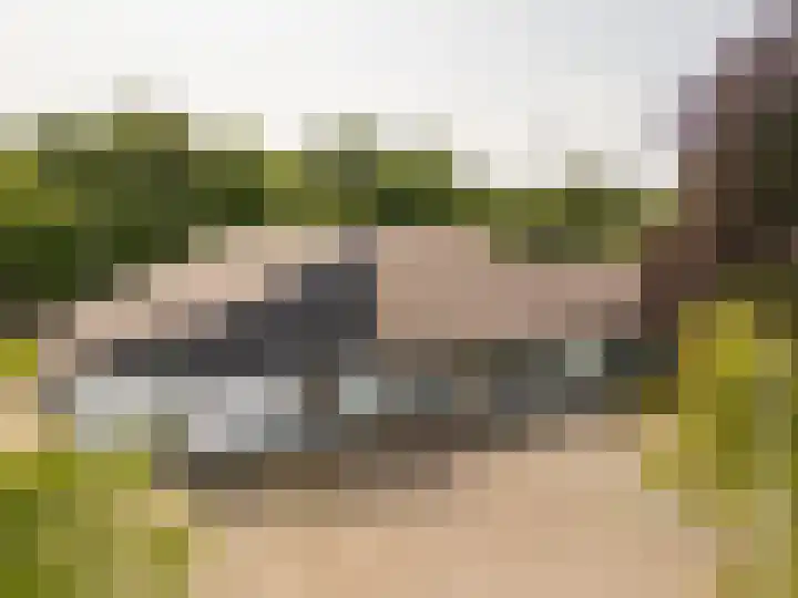 Tjalke de Boerstrjitte 18 Balk thumbnail 4