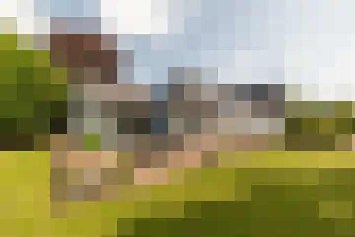 Tjalke de Boerstrjitte 18 Balk thumbnail 42