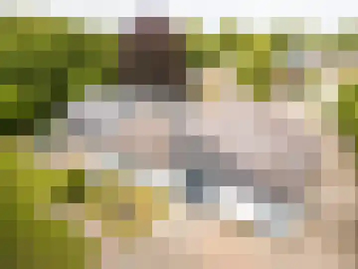 Tjalke de Boerstrjitte 18 Balk thumbnail 43