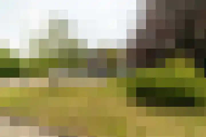 Tjalke de Boerstrjitte 18 Balk thumbnail 45