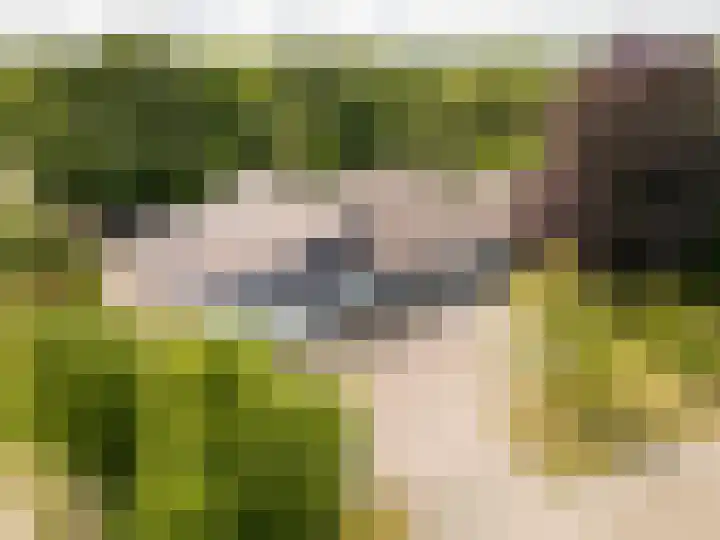 Tjalke de Boerstrjitte 18 Balk thumbnail 50