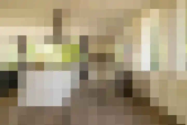Tjalke de Boerstrjitte 18 Balk thumbnail 9
