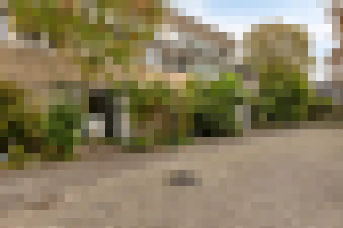 Tjalkenwerf 24 Leiden thumbnail 10
