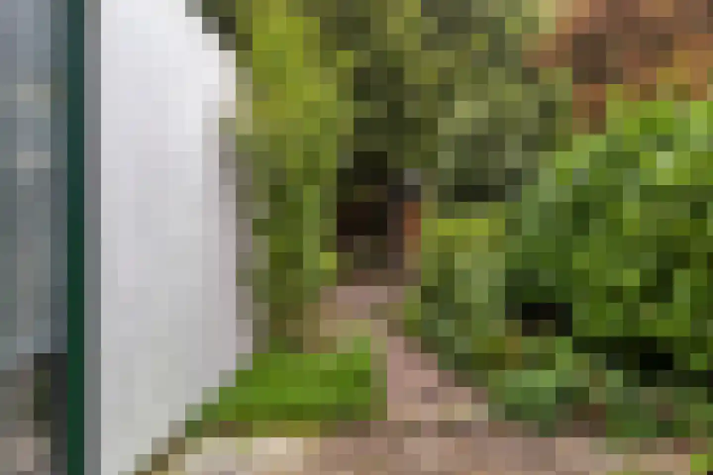 Tjalkenwerf 24 Leiden thumbnail 16
