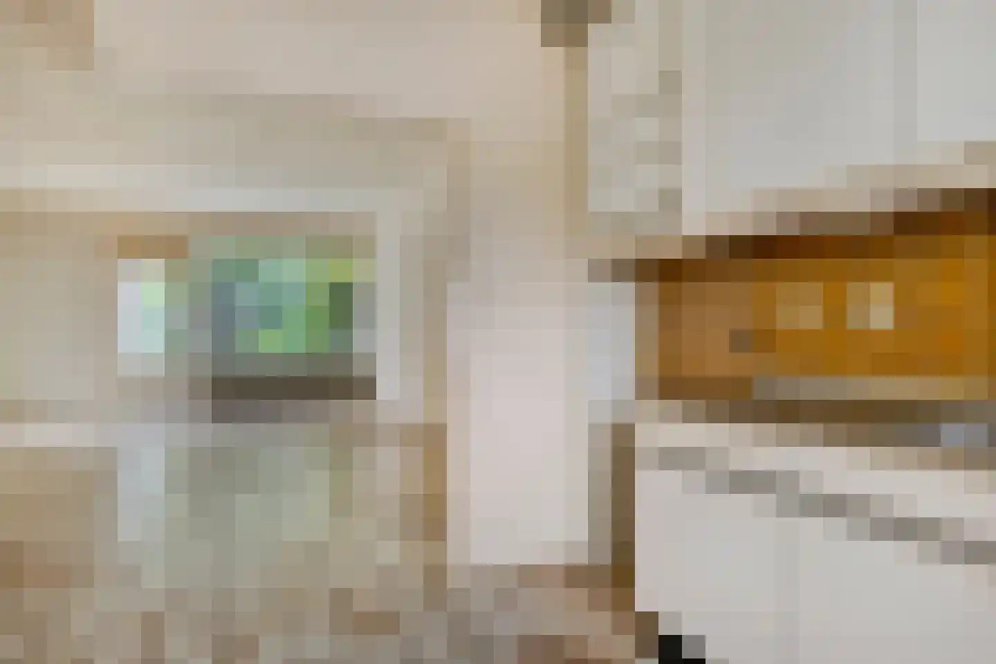 Tjalkenwerf 24 Leiden thumbnail 22