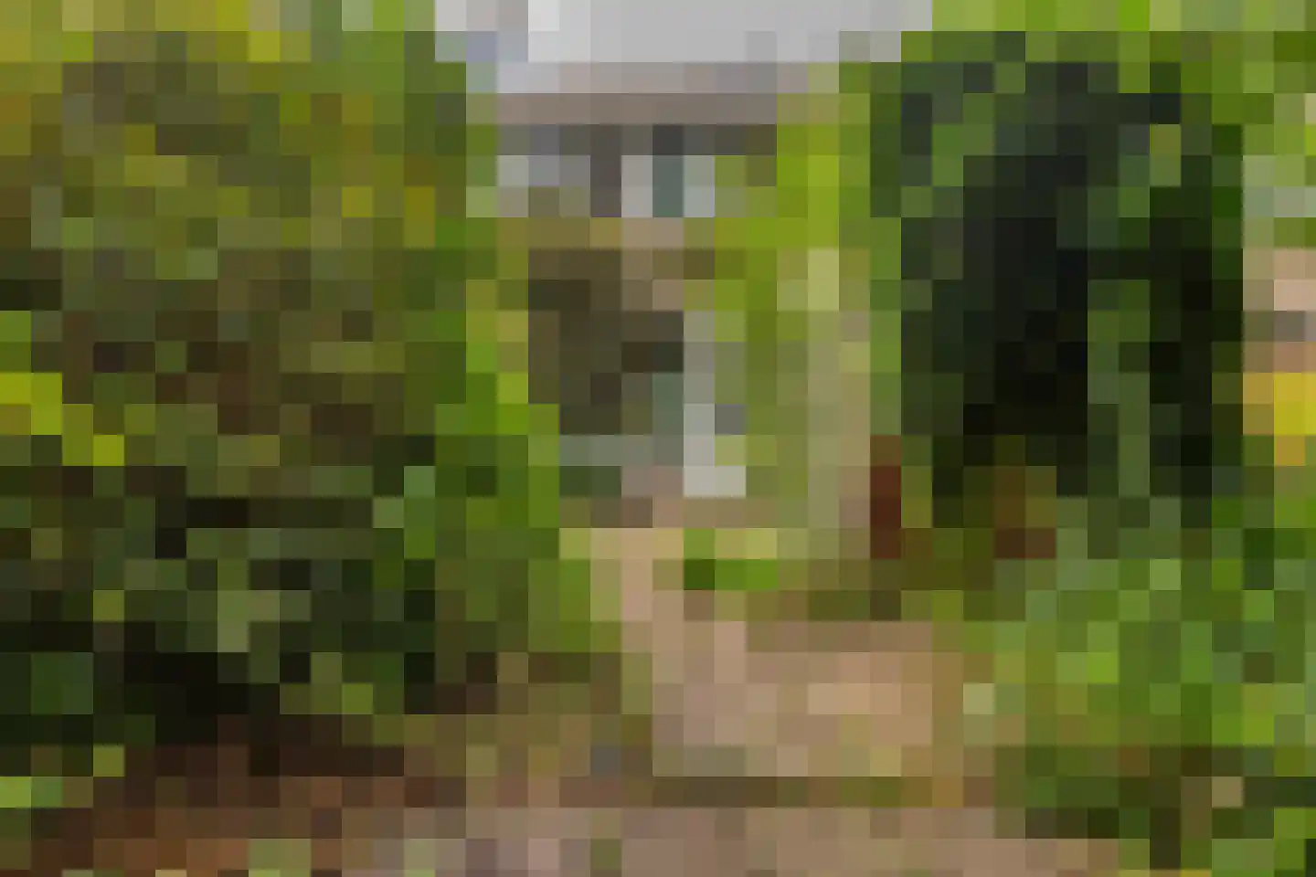 Tjalkenwerf 24 Leiden thumbnail 35