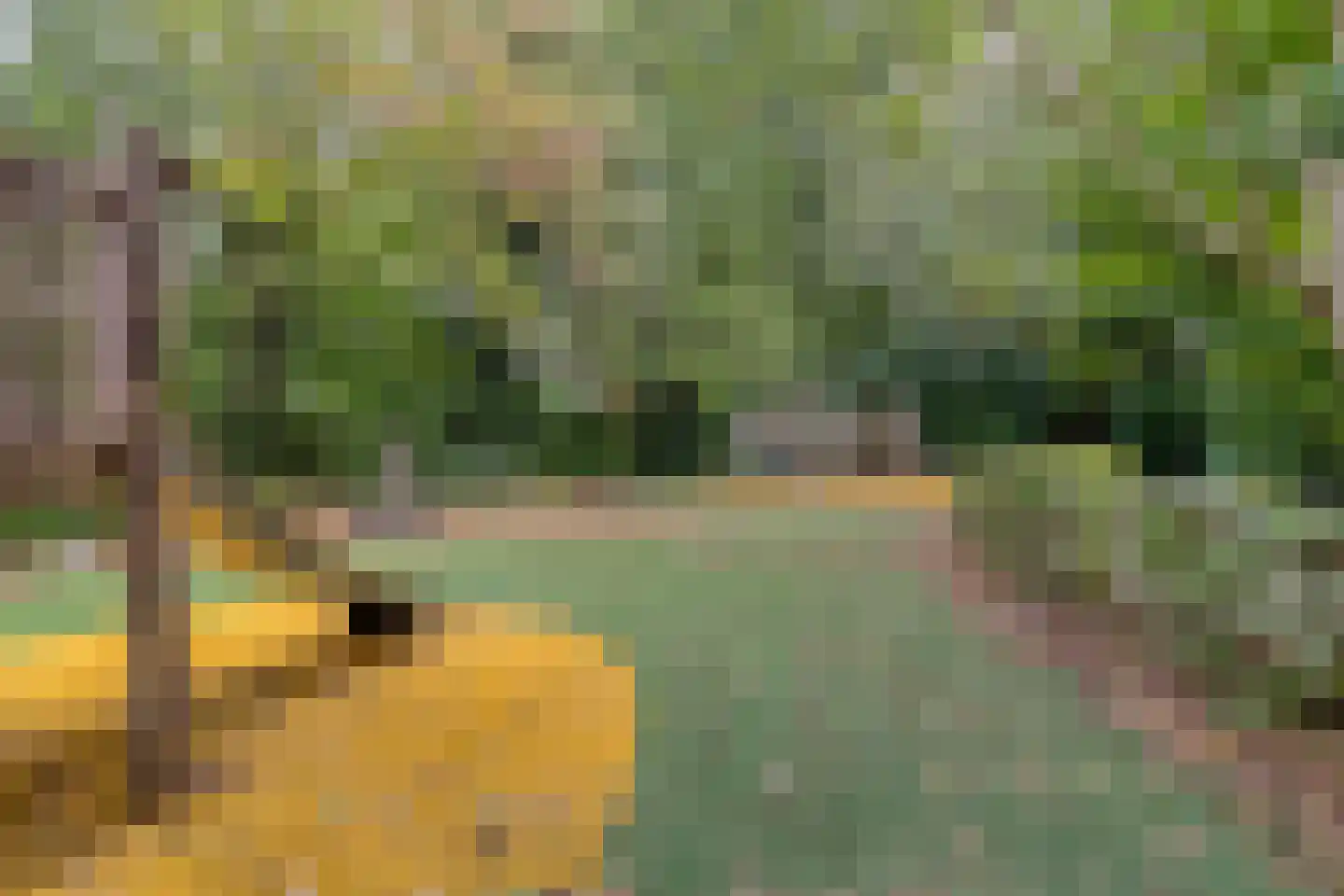 Tjalkenwerf 24 Leiden thumbnail 37