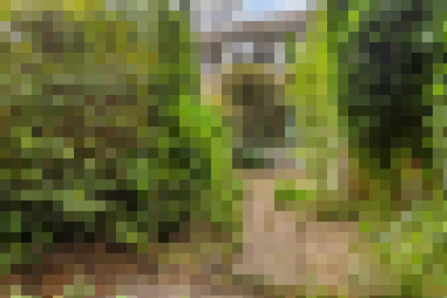 Tjalkenwerf 24 Leiden thumbnail 7
