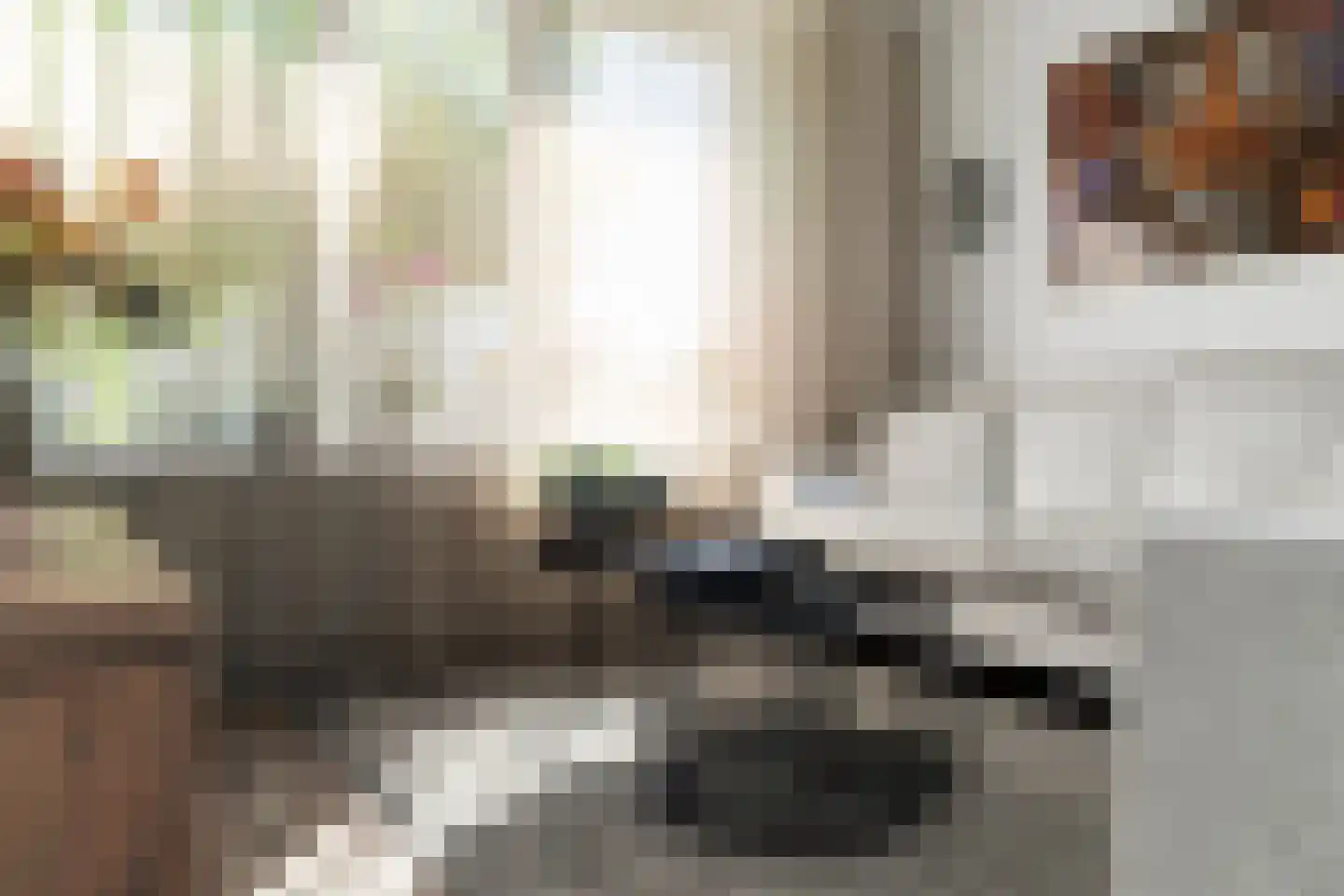 Tjalkhof 6 's-Hertogenbosch thumbnail 10