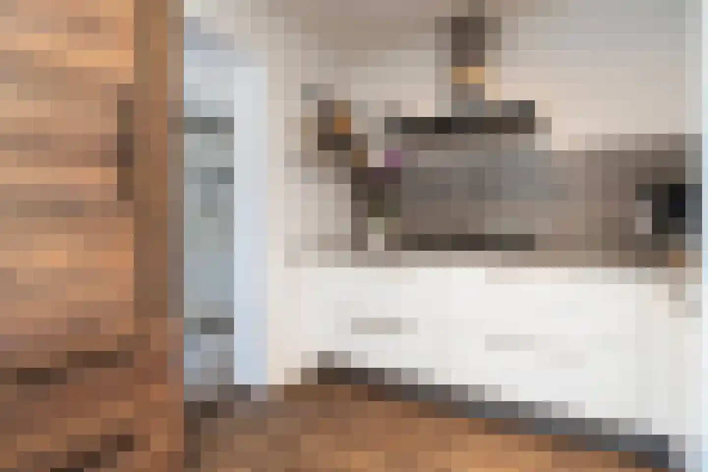 Tjalkhof 6 's-Hertogenbosch thumbnail 15