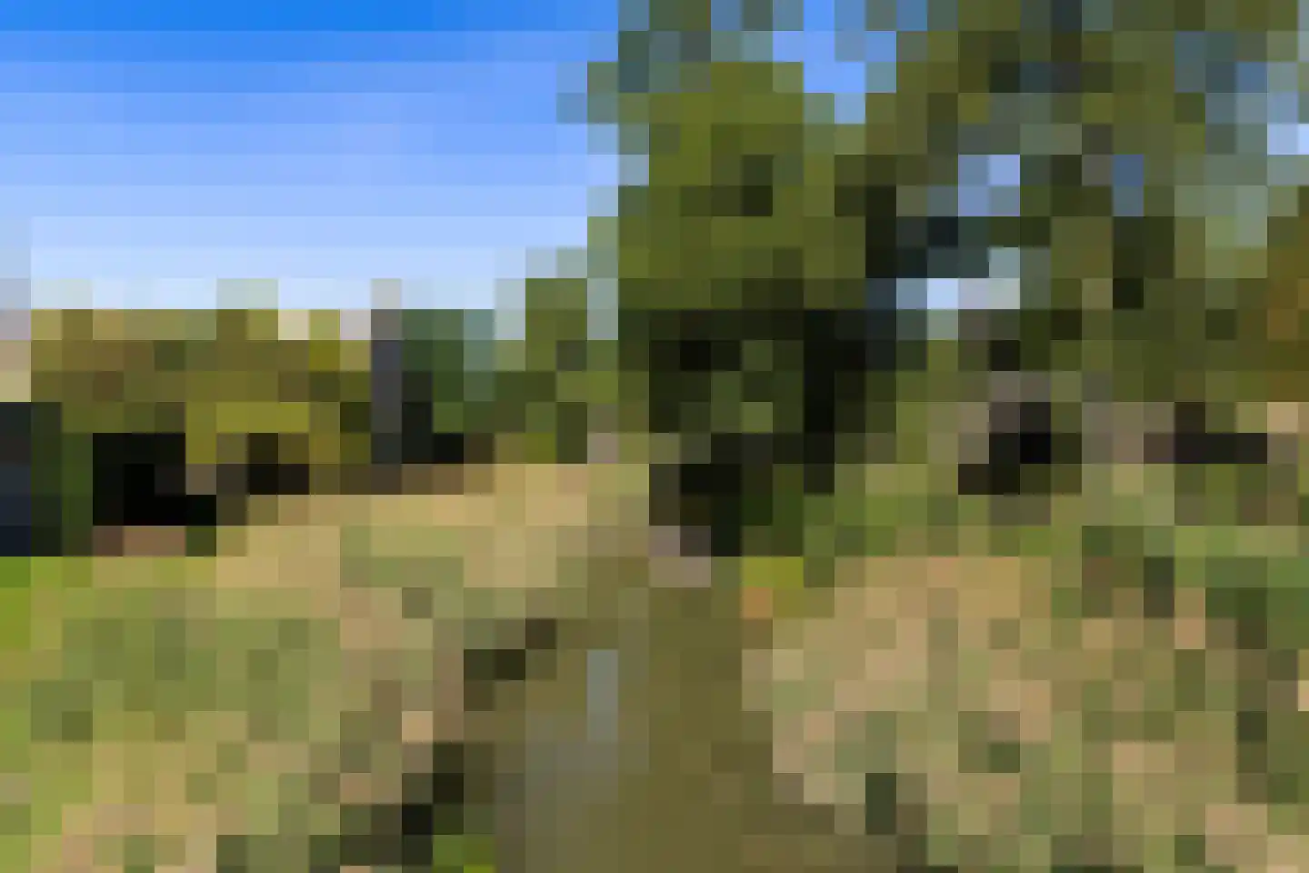 Tjalkhof 6 's-Hertogenbosch thumbnail 35