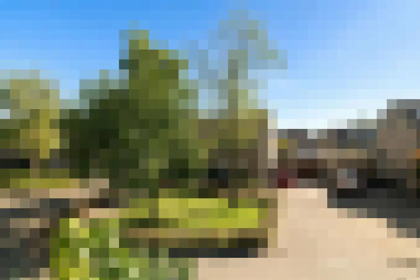 Tjalkhof 6 's-Hertogenbosch thumbnail 38