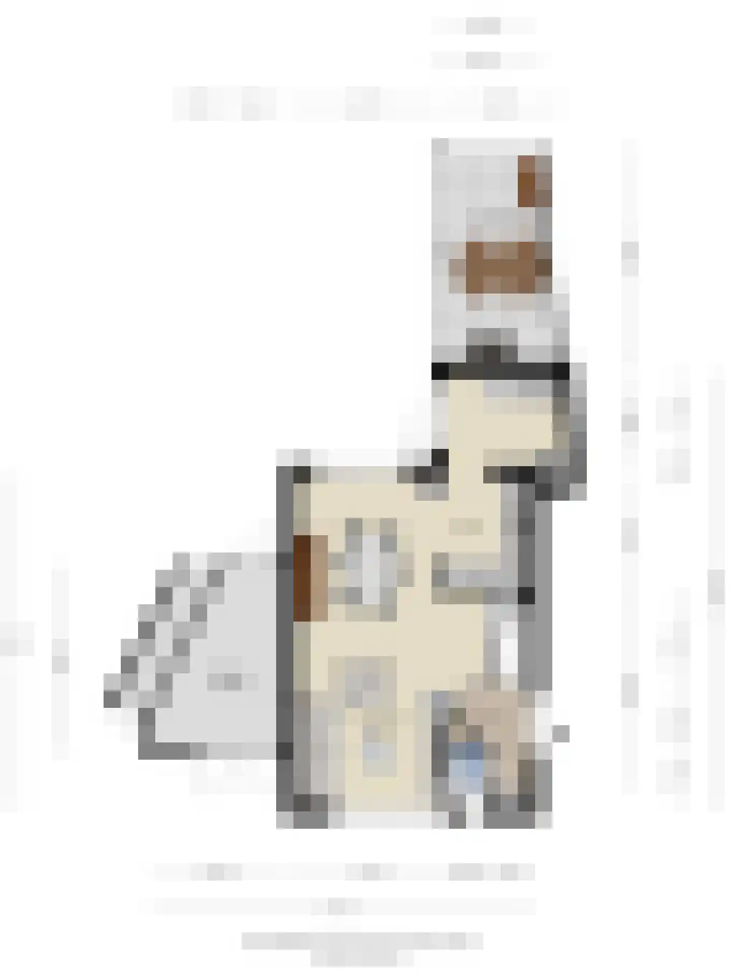 Tjalkhof 6 's-Hertogenbosch thumbnail 42