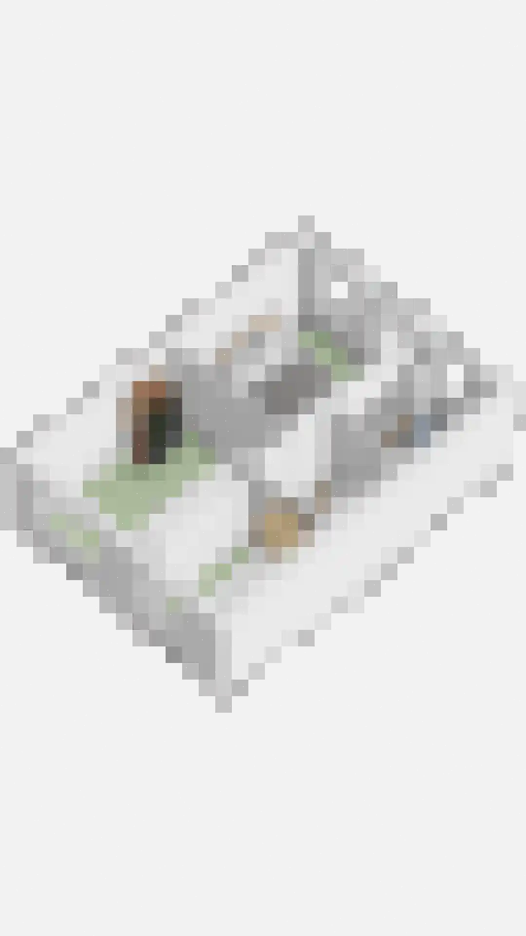 Tjalkhof 6 's-Hertogenbosch thumbnail 45