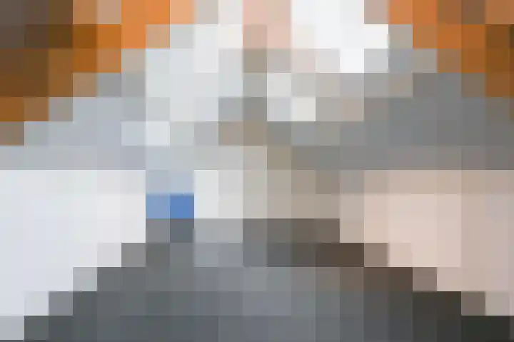 Tjalkstraat 1 Oudenbosch thumbnail 33