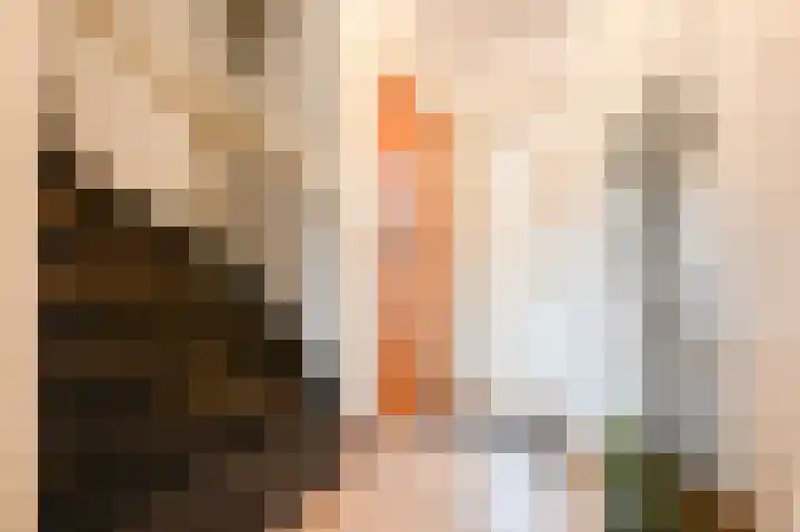 Tjalkstraat 1 Oudenbosch thumbnail 6