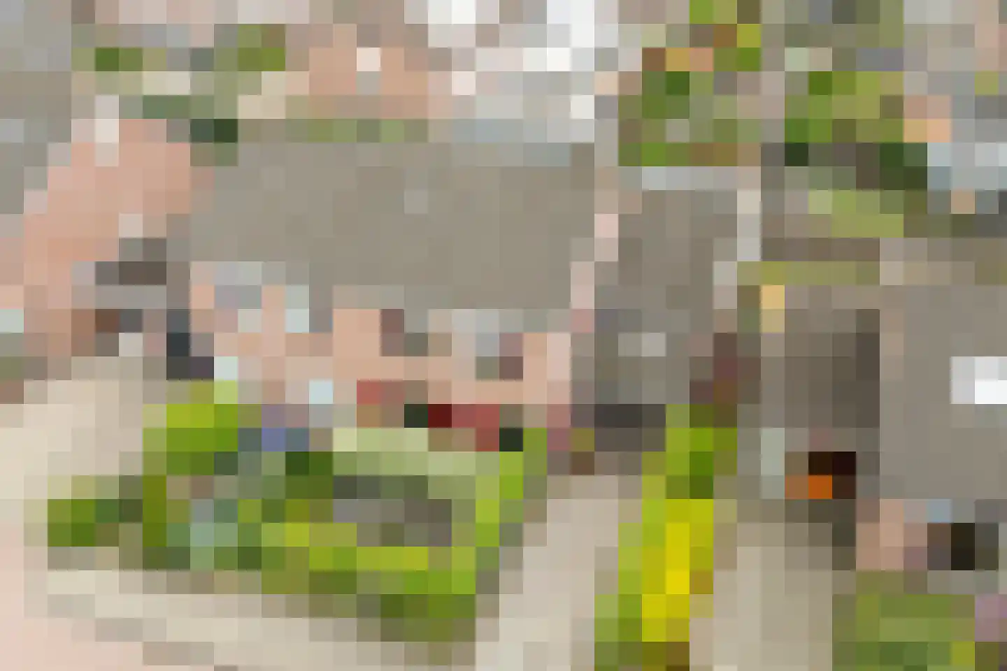 Tjalkstraat 17 Lemelerveld thumbnail 4