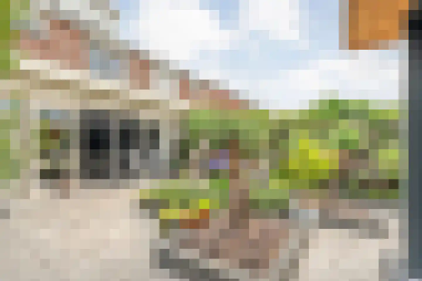 Tjalkstraat 17 Lemelerveld thumbnail 44