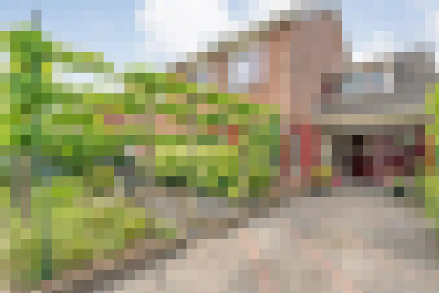 Tjalkstraat 17 Lemelerveld thumbnail 5