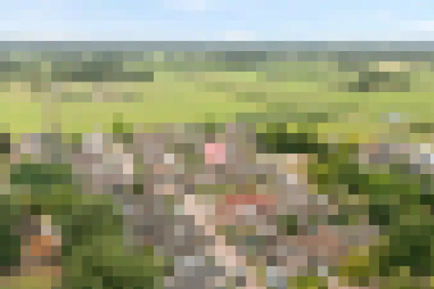 Tjalkstraat 17 Lemelerveld thumbnail 9
