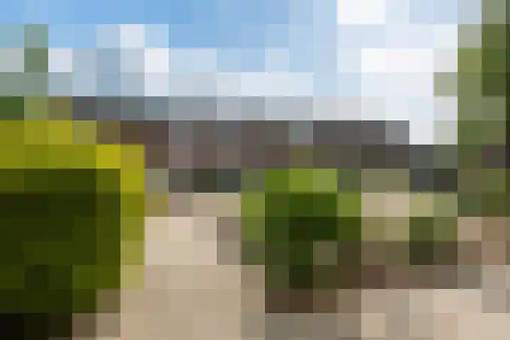 Tjalkstraat 17 Makkum thumbnail 4