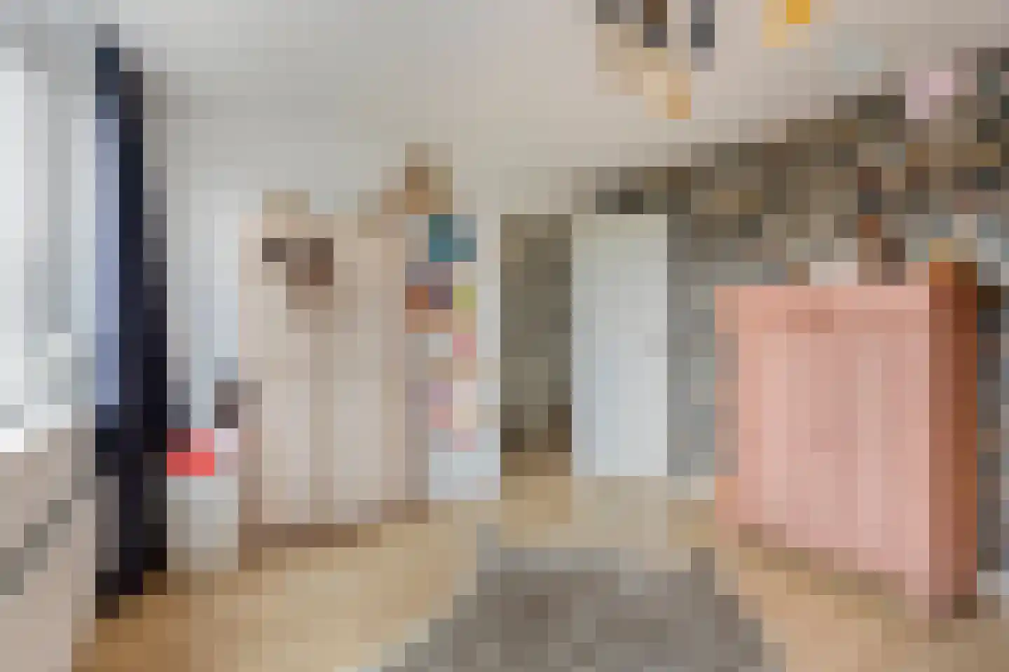 Tjalkstraat 19 Purmerend thumbnail 28