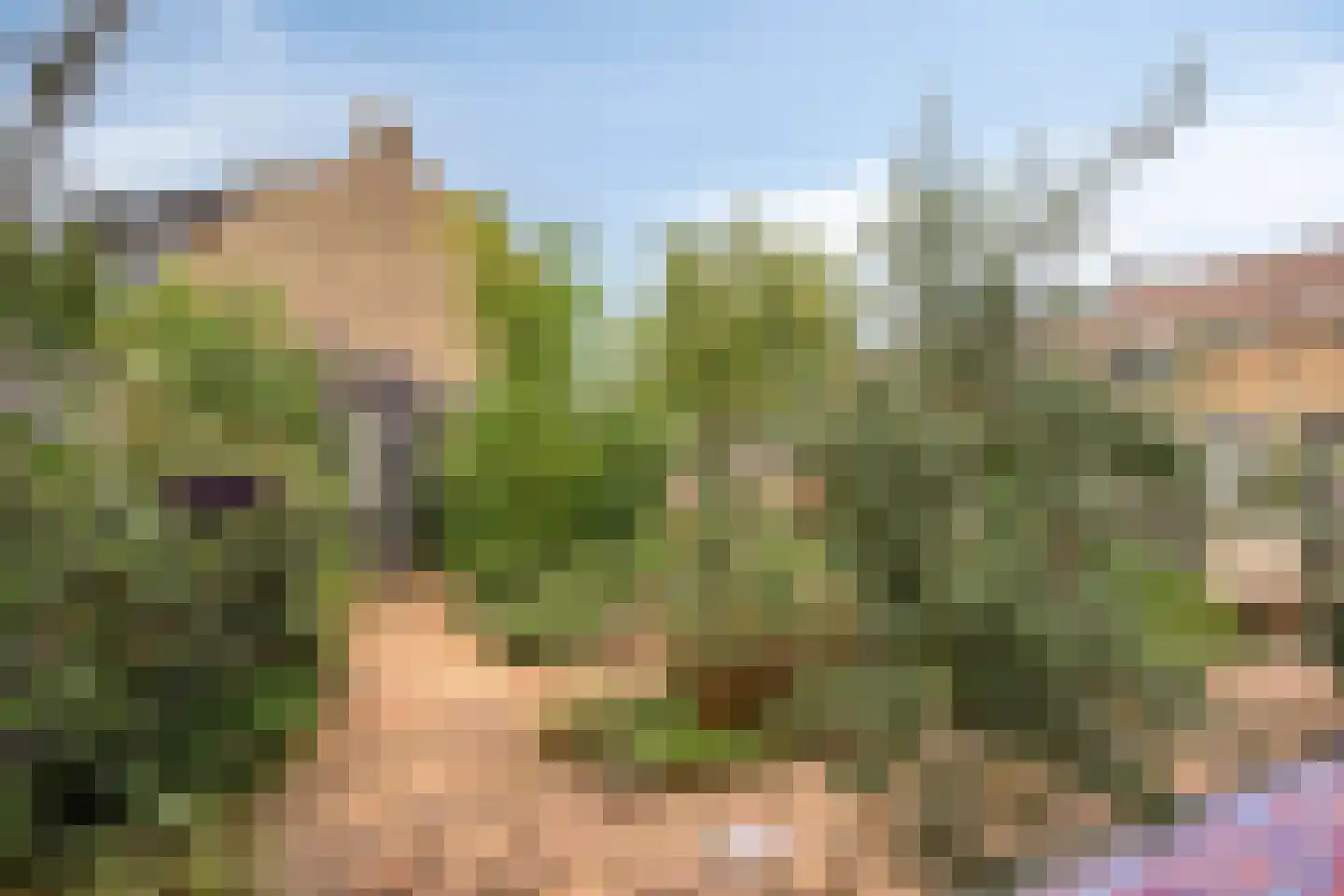 Tjalkstraat 19 Purmerend thumbnail 34