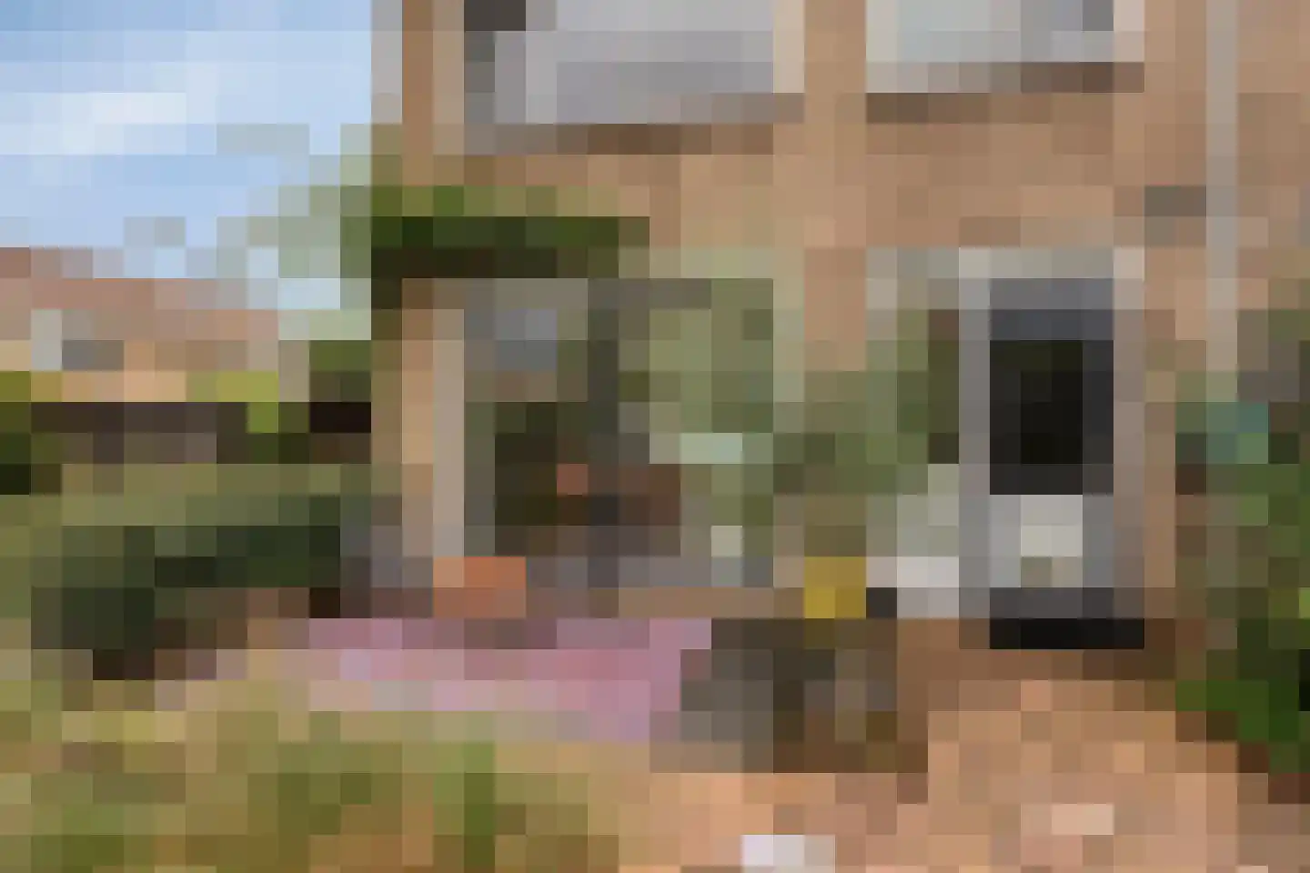 Tjalkstraat 19 Purmerend thumbnail 35