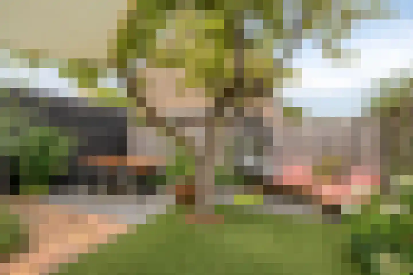 Tjalkstraat 19 Purmerend thumbnail 36